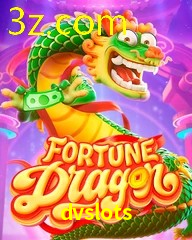 DVSLOTS.COM