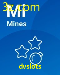 DVSLOTS.COM